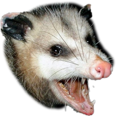 :possum: